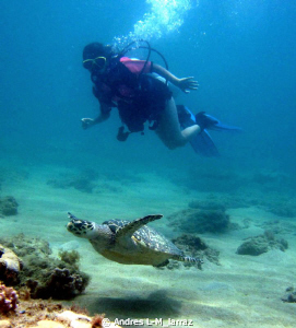 Turtle and girl diver by Andres L-M_larraz 